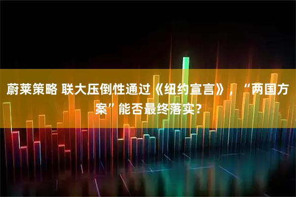 蔚莱策略 联大压倒性通过《纽约宣言》，“两国方案”能否最终落实？