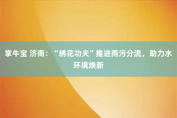 掌牛宝 济南：“绣花功夫”推进雨污分流，助力水环境焕新
