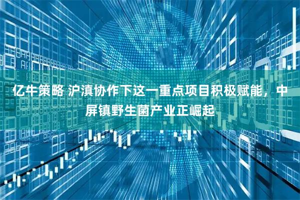 亿牛策略 沪滇协作下这一重点项目积极赋能，中屏镇野生菌产业正崛起