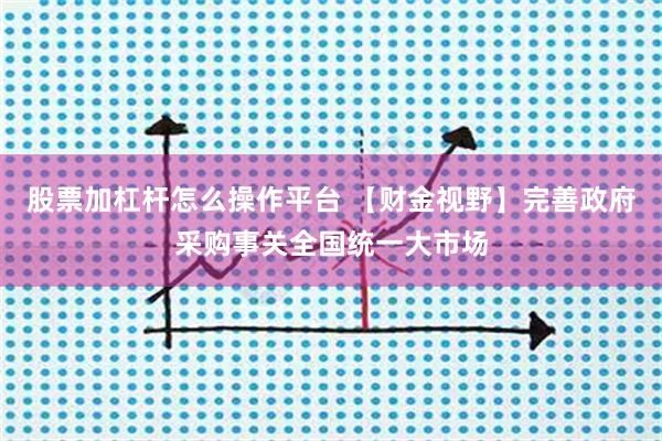 股票加杠杆怎么操作平台 【财金视野】完善政府采购事关全国统一大市场