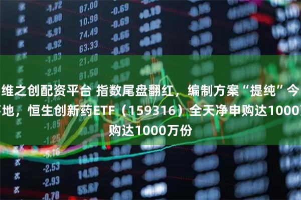维之创配资平台 指数尾盘翻红，编制方案“提纯”今日落地，恒生创新药ETF（159316）全天净申购达1000万份