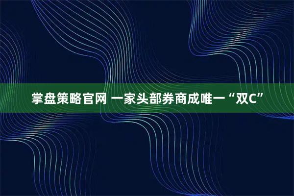 掌盘策略官网 一家头部券商成唯一“双C”