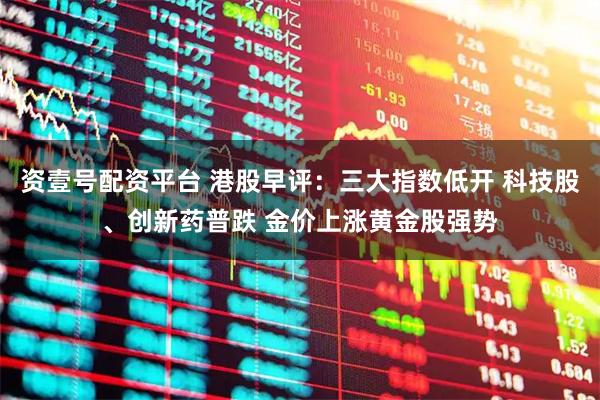 资壹号配资平台 港股早评：三大指数低开 科技股、创新药普跌 金价上涨黄金股强势